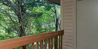 Parkwood Apartment Homes Gallery 12