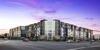 Broadstone Edition Gallery 2