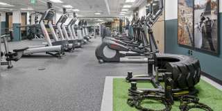 Novi at Queen Anne Gallery 6