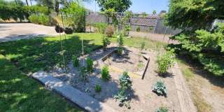 Poplar Grove 3 bd. House! Pets ok! Love the yard! Gallery 17