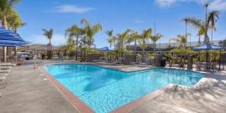 Sofi at Wood Ranch Gallery 3