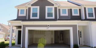 Poplin Trace Gallery 27