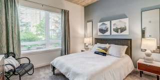 Parkside Esterra Gallery 6