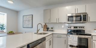 Wray North Dallas Gallery 10