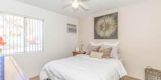 Sunset Vista Apartments Gallery 20