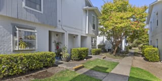 Tradewinds Apartment Homes Tradewinds Apartment Homes Gallery 16