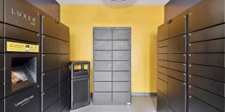 Alvista Bowie Gallery 29