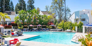 Montage at Fair Oaks Apartments Gallery 30