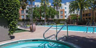 Domicilio Gallery 12