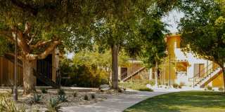 Polo Villas Gallery 5
