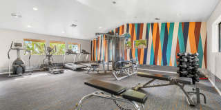 Fountain Palms Gallery 16