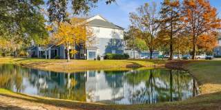 Views at River Bend Gallery 60