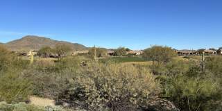 41729 North Celebration Court Gallery 14