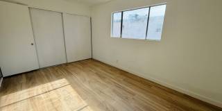 537 KOLSON CIR Gallery 10