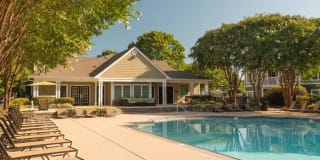 Steeplechase Gallery 29