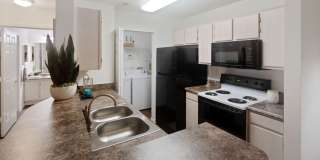 Hollis 7601 Gallery 23