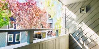 The Enclave of Richland Gallery 1