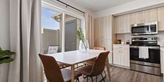 Amazon Falls Gallery 6