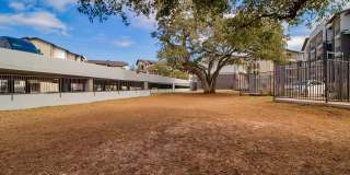 Windsor Ridge Gallery 51