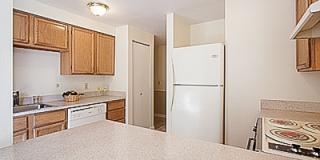 Stratford Arms Gallery 1