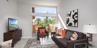 Las Palmas Gallery 4