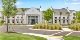 Tapestry Palmera Gallery 70