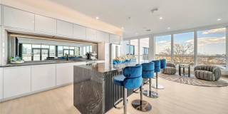 Royal Blue Gallery 12