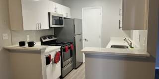 The Commons at University Square Apartments The Commons at University Square Apartments Gallery 23