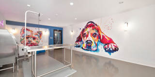 Track 281 Track 281 Gallery 38