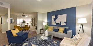 The Nelson Gallery 6