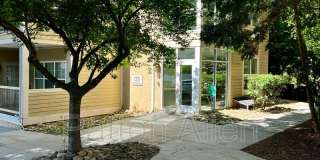 175 S Lexington Ave 175 S Lexington Ave Gallery 1