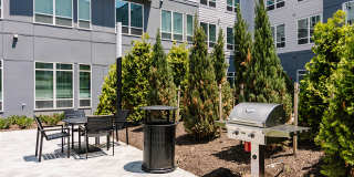 Opal Largo Station Gallery 39