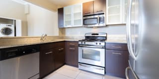 The Vantage Gallery 11