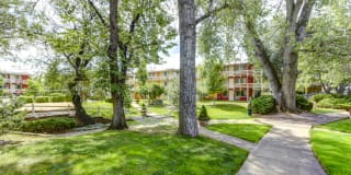 Buffalo Canyon Gallery 35