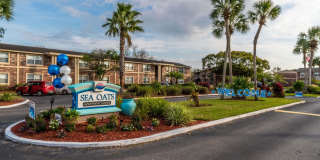 Sea Oats Sea Oats Gallery 64