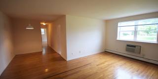 Graduate and Professional Gallery 43