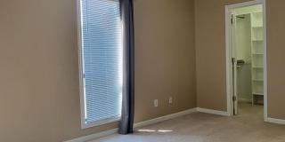 105 Sunshine Lane Gallery 29