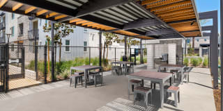 Homecoming at The Resort Apartments Gallery 69