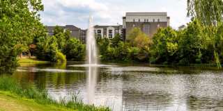 Ashton at Dulles Corner Gallery 53