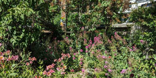 Cozy Carmel Valley Village House Fully Furnished Cozy Carmel Valley Village House Fully Furnished Gallery 39