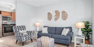 7151 SUNSET WAY Gallery 8