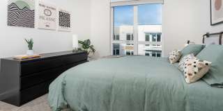 Alexan Main Street Gallery 30