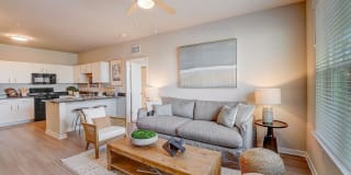 Authentix Suncoast Gallery 2