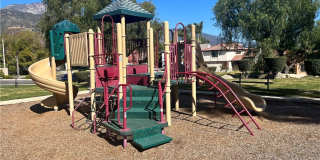 1299 Dogwood Gallery 44