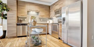 One 305 Central Gallery 2