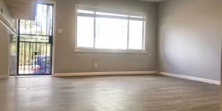 Gorgeous Remodeled Downstairs Apartment w/Patio+Prvt Laundry+Garage+Views of Canals Gallery 8