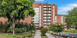 Aspen at Lake Trail Gallery 38