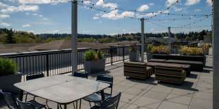 Morado Bothell Gallery 29