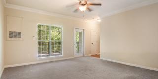 Angel Landing Gallery 8