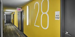 Wave Lakeview Gallery 30